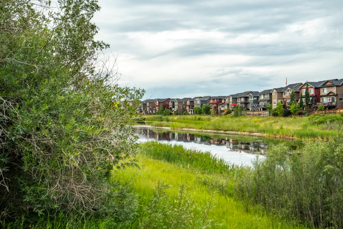 Cougar Ridge community in Calgary